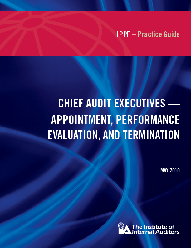 PG IPPF-Practice-Guide-May-2010.jpg