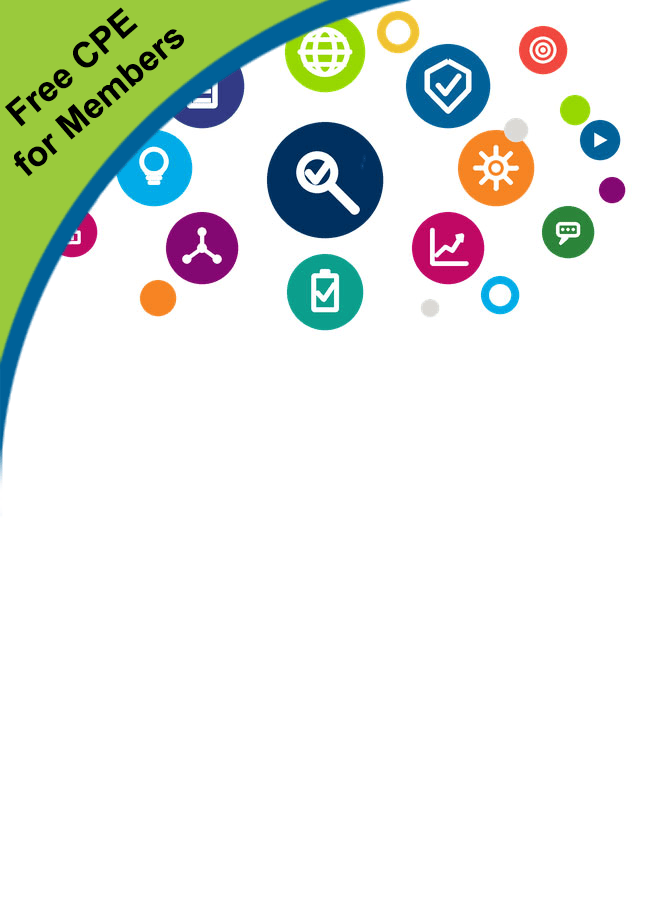 Global Perspectives on Performance Auditing in the Public Sector