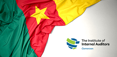 Cameroon flag image