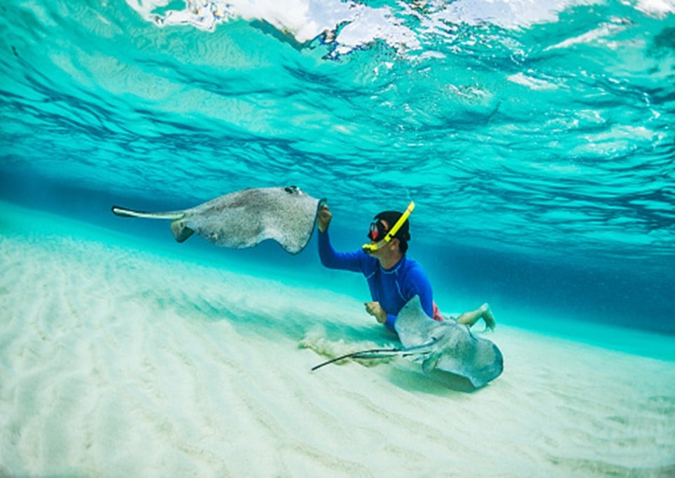 Stingray City.jpg