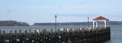 LI-IIA-Dock-Photo-RG-3-2013-465x165.gif