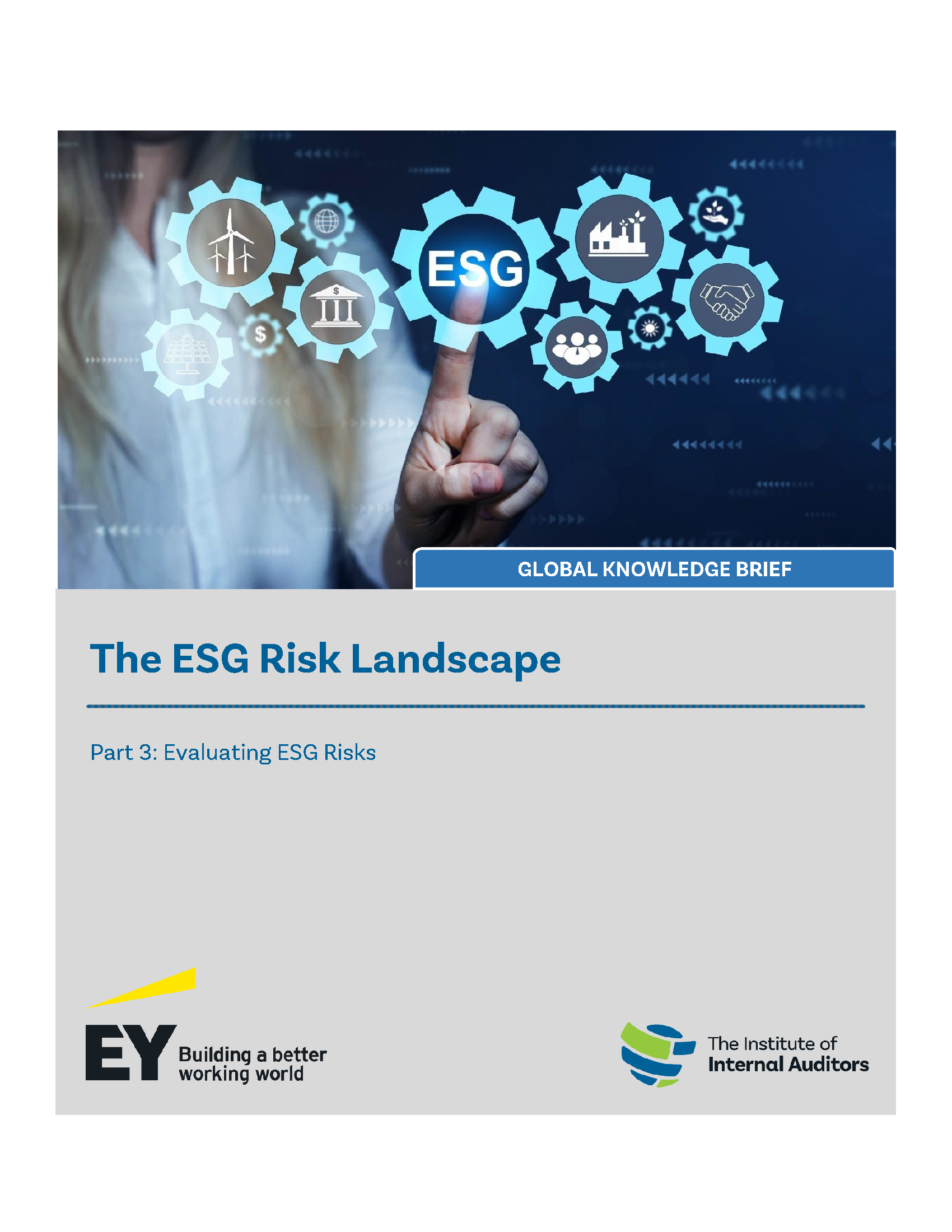 esg risk assessment case study