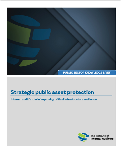 IIA Strategic Public Asset Protection – Internal Audit’s.png