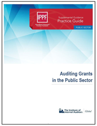 Auditing-Grants-in-the-Public-Sector.png
