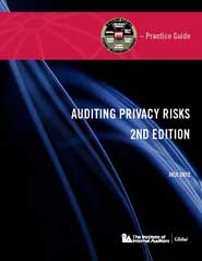 PG-Auditing-Privacy-Risks-Cover.jpg