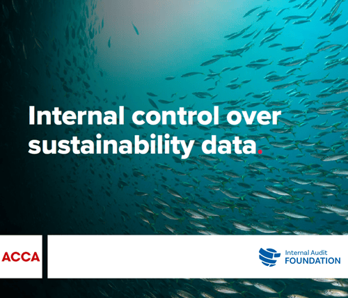 Internal control over sustainability data