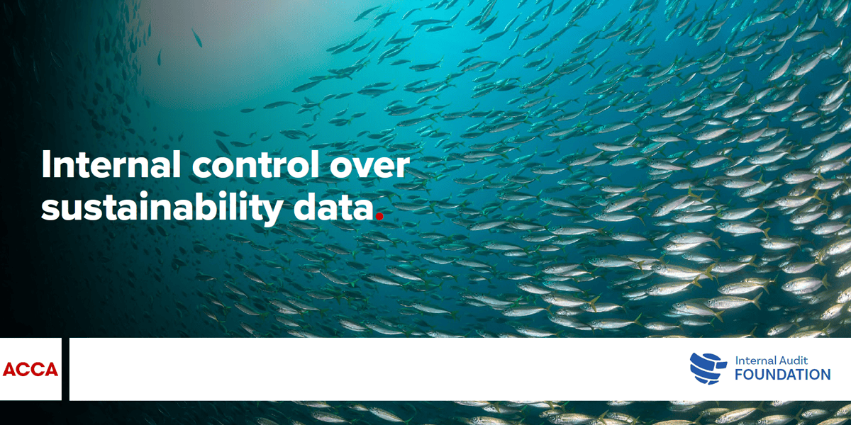 Internal control over sustainability data report cover