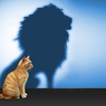 <strong>2023 AuditSphere: A Virtual Conference for Small Audit Teams</strong>