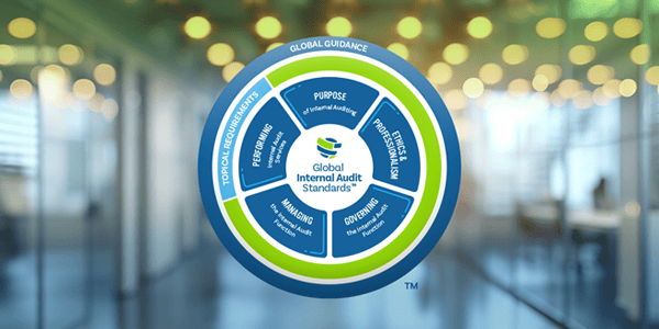 Global Internal Audit Standards