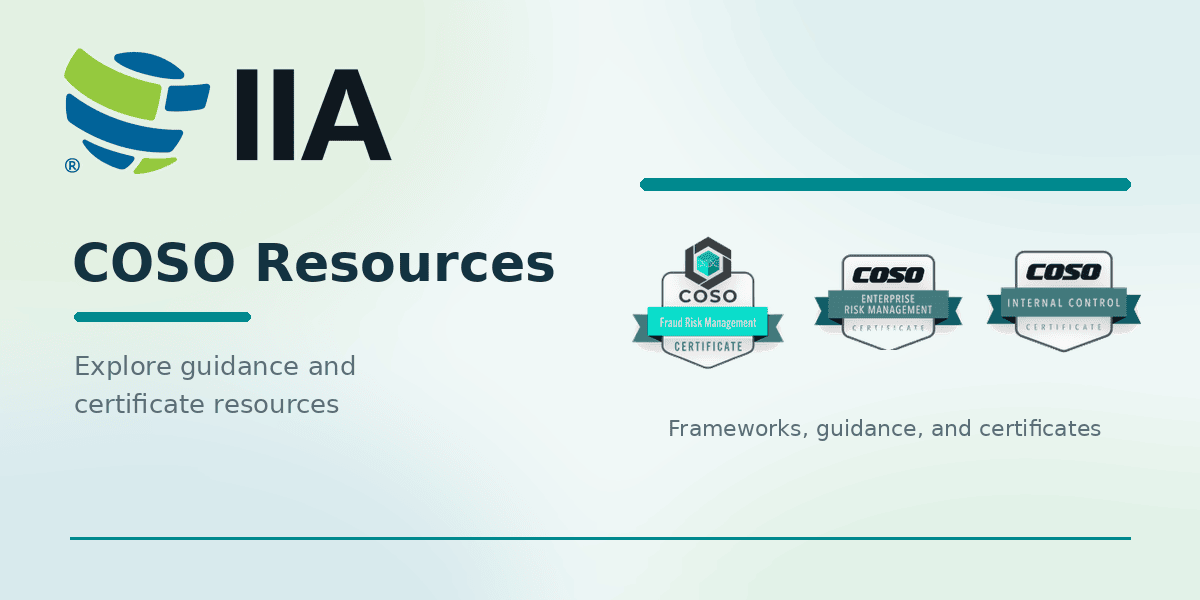 IIA COSO Resources