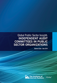 GPSI-Independent-Audit-Committees-in-Public-Sector-Organizations-Cover.png