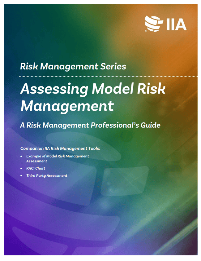 Assessing Model Risk Management: A Risk Management Professional's Guide