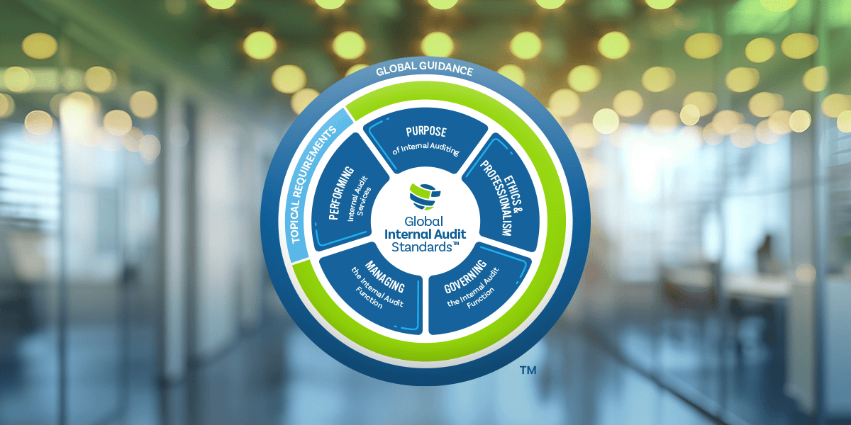 The International Professional Practices Framework (IPPF)